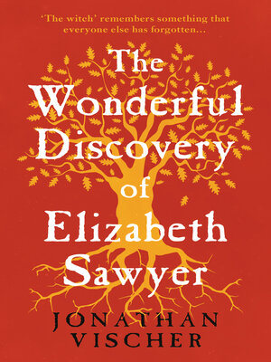 cover image of The Wonderful Discovery of Elizabeth Sawyer